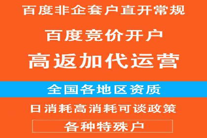 某电商企业SEM竞价代运营全记录：销量翻倍的奥秘